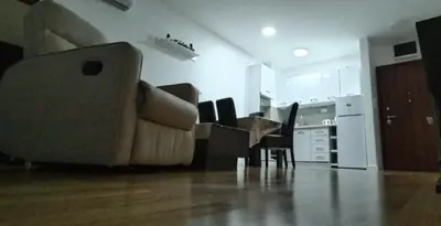a living room with a couch and a kitchen at Mila in Soko Banja