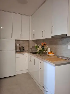 a kitchen with white cabinets and a vase of flowers on the counter at Nikana in Vrnjačka Banja