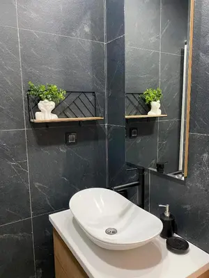 a bathroom with a white sink and a mirror at NLux Nest Milmari in Kopaonik