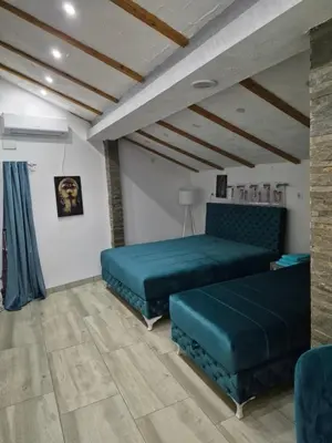 a living room with two beds and a couch at Yugoslavija Lux 3 in Aleksandrovac