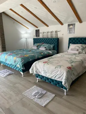 a bedroom with two beds and a rug at Yugoslavija Lux 3 in Aleksandrovac