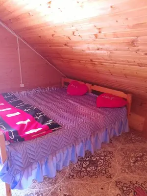 a bed in a room with a wooden ceiling at Drinska Ljepotica Ljubovija in Bukorovac