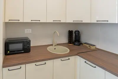 a kitchen counter with a sink and a microwave at Amazon Royale Apartment in Niš