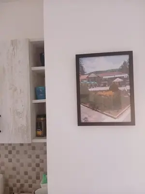 a painting hanging on a wall in a kitchen at Bufan apartman in Soko Banja