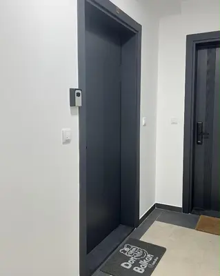 a black elevator door in a room with a rug at Slatina Točak in Vrnjačka Banja