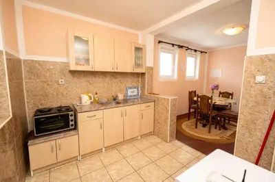 a kitchen with a sink and a stove at Sobe Joksimović in Vrnjačka Banja