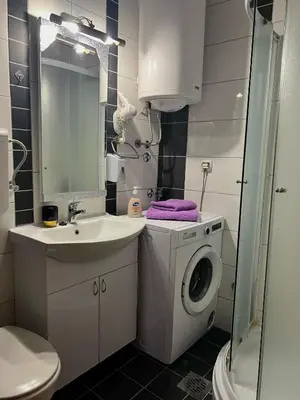 a bathroom with a washing machine and a sink at Apartman Tomić Vrnjacka Banja in Vrnjci