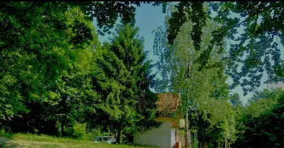Gallery image of Deep Forest House in Gornji Barbeš