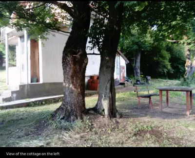 Gallery image of Deep Forest House in Gornji Barbeš