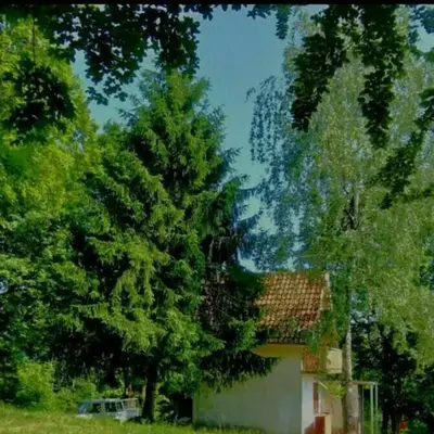 Deep Forest House