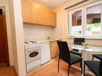 a kitchen with a stove and a table with chairs at Apartmani Votor in Vrnjačka Banja