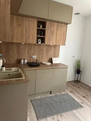 a kitchen with a sink and a counter top at Primo apartmani in Mirovo