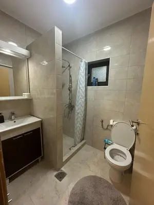 a bathroom with a shower and a toilet and a sink at Primo apartmani in Mirovo