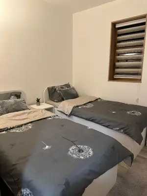 two beds sitting next to each other in a room at Primo apartmani in Mirovo