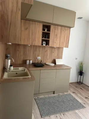 a kitchen with a sink and wooden cabinets at Primo apartmani in Mirovo