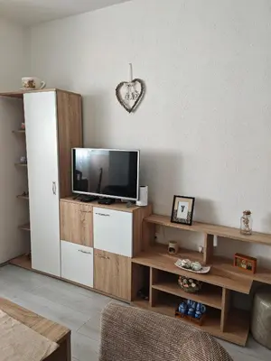 a living room with a tv and a entertainment center at Apartman-Stan in Jagodina
