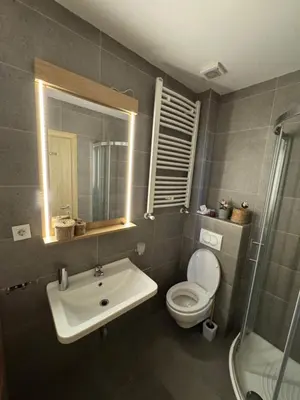 a bathroom with a sink and a toilet and a mirror at Apartman Vila Jaram, Kopaonik in Kopaonik