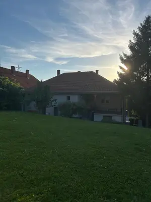 a house in a yard with a green lawn at Kuća Kostić in Gornja Toponica