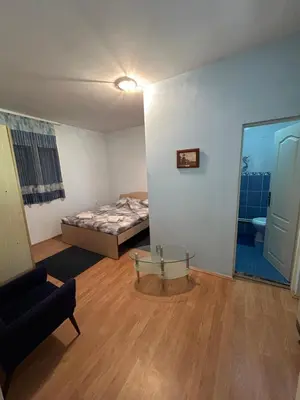 a room with a bed and a couch and a table at Kuća Kostić in Gornja Toponica