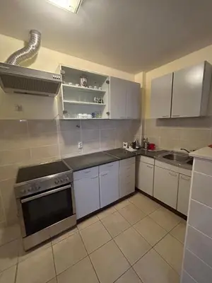a kitchen with white cabinets and a stove top oven at Kuća Kostić in Gornja Toponica