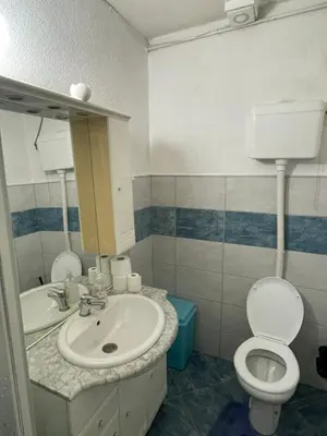 a bathroom with a sink and a toilet at Apartman Janković in Paraćin