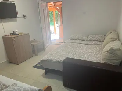 a bedroom with a bed and a tv in it at Apartmani Stankovic in Crni Vrh