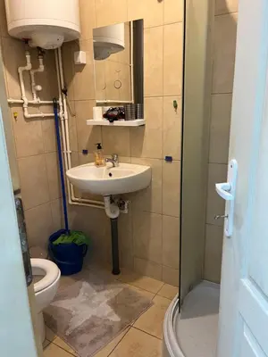a bathroom with a sink and a toilet at Apartmani Stankovic in Crni Vrh