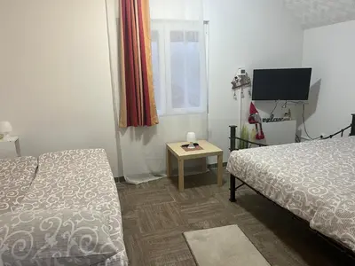 a bedroom with a bed and a table with a tv at Apartmani Stankovic in Crni Vrh