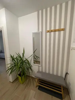 a mirror and a bench in a room with a plant at Merak stay 018 in Niš