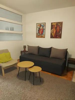 a living room with a black couch and two tables at Katarina in Niš