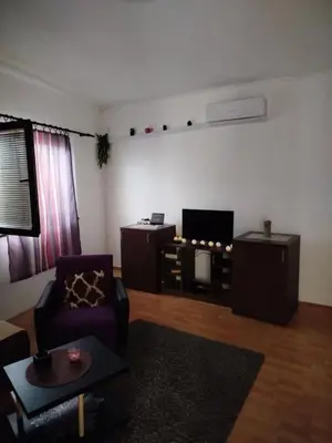 a living room with a couch and a tv at Milić in Jagodina