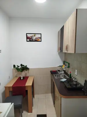 a small kitchen with a sink and a table at Milić in Jagodina