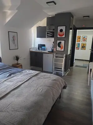 a bedroom with a bed and a small kitchen at Top 4 Sobe, Rooms - Near the airport in Niš