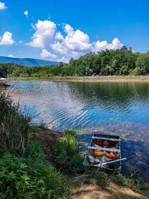 a boat sitting on the shore of a lake at Brvnara Dadi