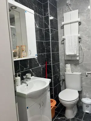 a bathroom with a white toilet and a sink at Gudzic in Vrnjci