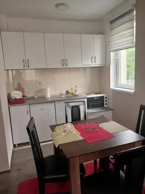 Gallery image of Apartman Stojadinovic in Soko Banja