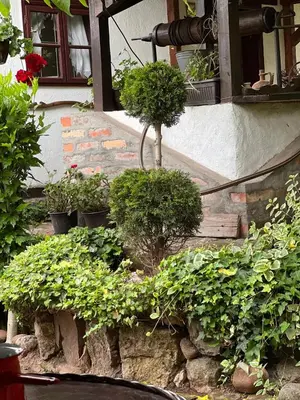 a group of potted plants in front of a building at Etno kuća Danica in Senje