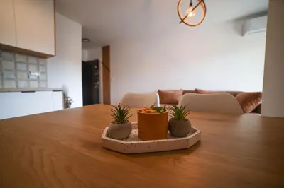a table with three potted plants on top of it at Apartmani S in Vrnjačka Banja