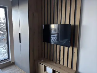a flat screen tv on a wooden wall at Raccoon Paradise Apartment Residence Hill B19 in Kopaonik