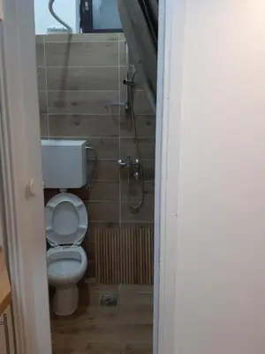 a bathroom with a toilet and a shower at Ilić Sokobanja in Soko Banja
