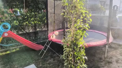 a swing in a yard with a plant at TNT accommodation in Niš