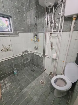 a bathroom with a shower and a toilet at Apartmani Pegasus in Vranje