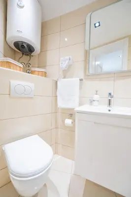 a bathroom with a toilet and a sink and a mirror at Apartman Simonovic in Vrnjačka Banja