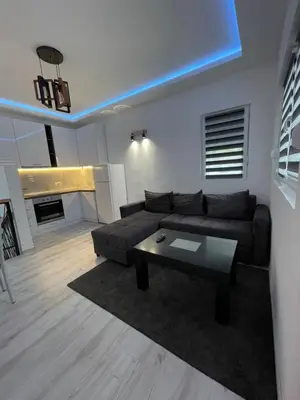 a living room with a couch and a table at Stan na dan Bor FREE PARKING in Bor