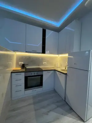 a kitchen with white cabinets and a blue ceiling at Stan na dan Bor FREE PARKING in Bor