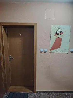 a door with a picture of a woman on the wall at Apartman Milosavljevic in Vrnjci