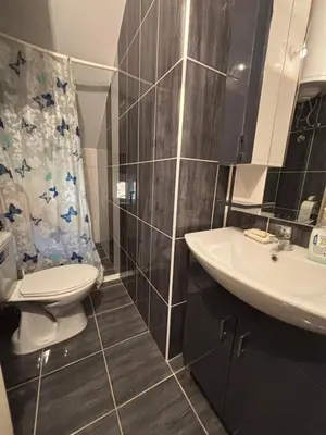 a bathroom with a toilet and a sink at Apartmani Radovanovic in Soko Banja