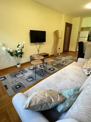 a living room with a bed and a flat screen tv at Vrnjacki kutak in Vrnjačka Banja