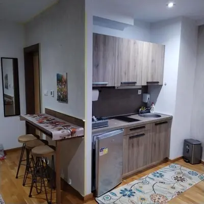 a kitchen with wooden cabinets and a counter top at Apartman Iva Brzeće-Kopaonik in Brzeće