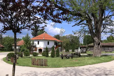 a park with a building with a bench and a tree at Apartmani 